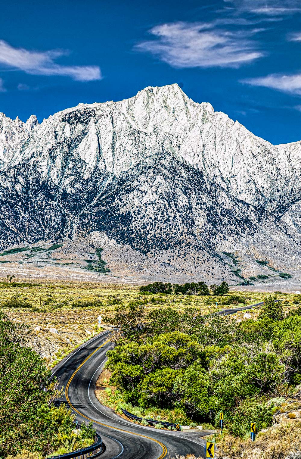 Lone Pine