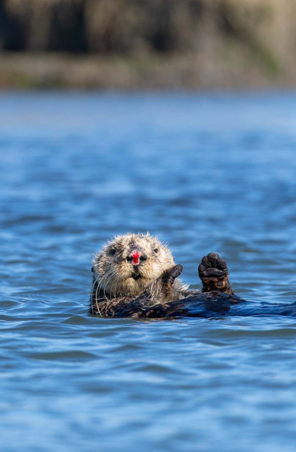 Moss Landing