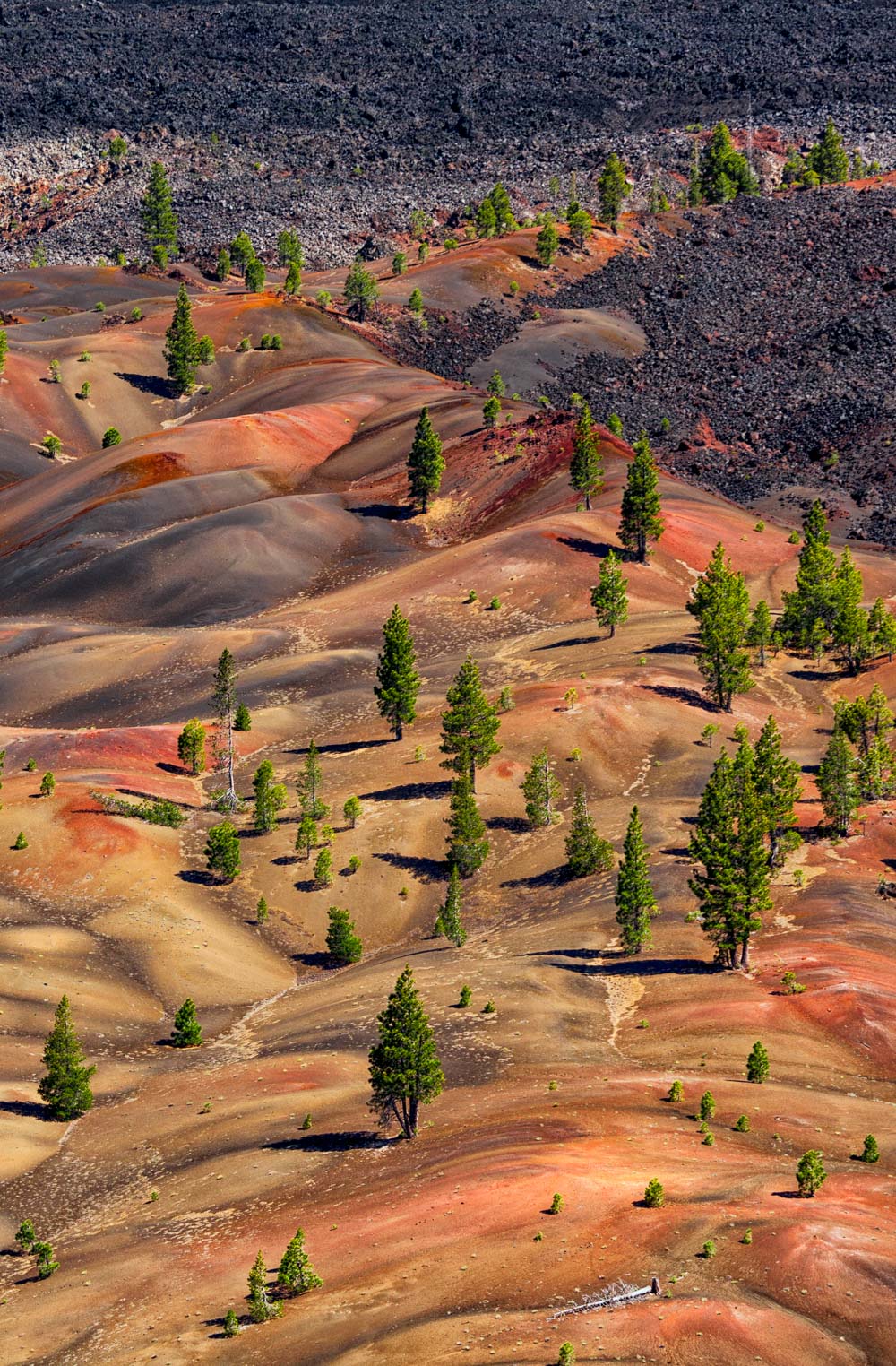 Lassen Volcanic National Park