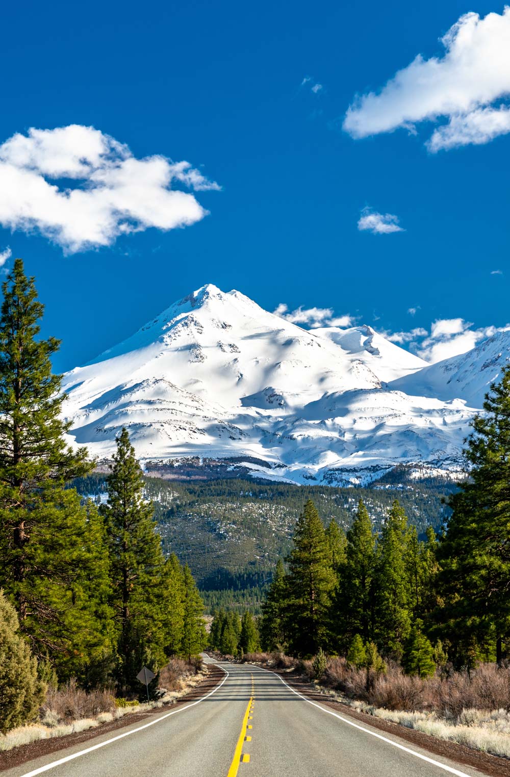 Mt. Shasta City