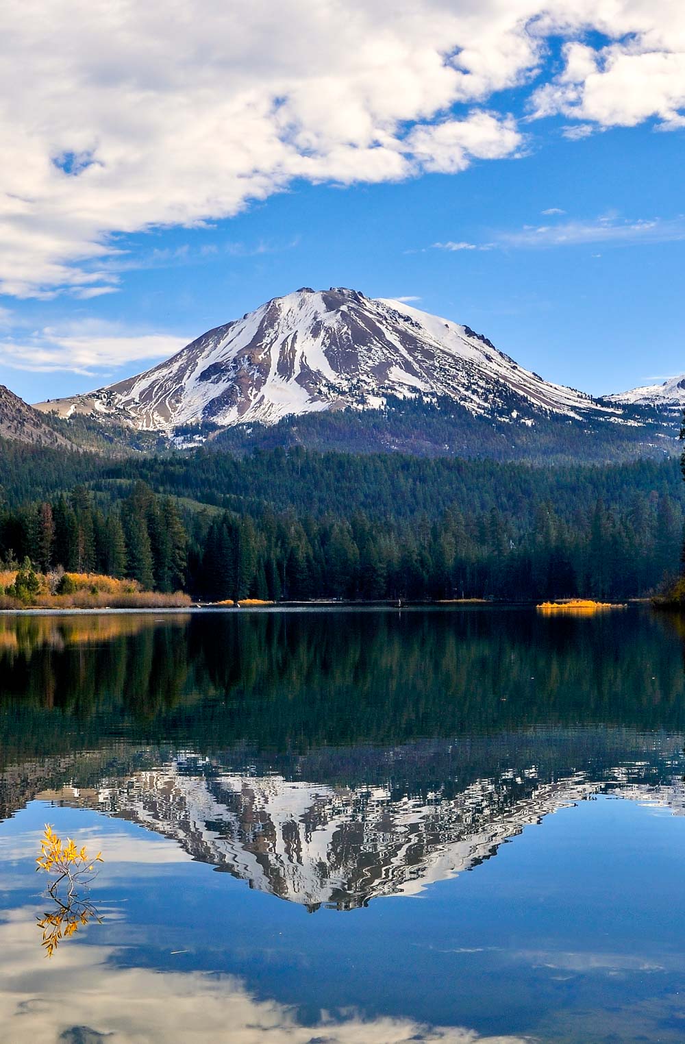 Volcanoes and Redwoods