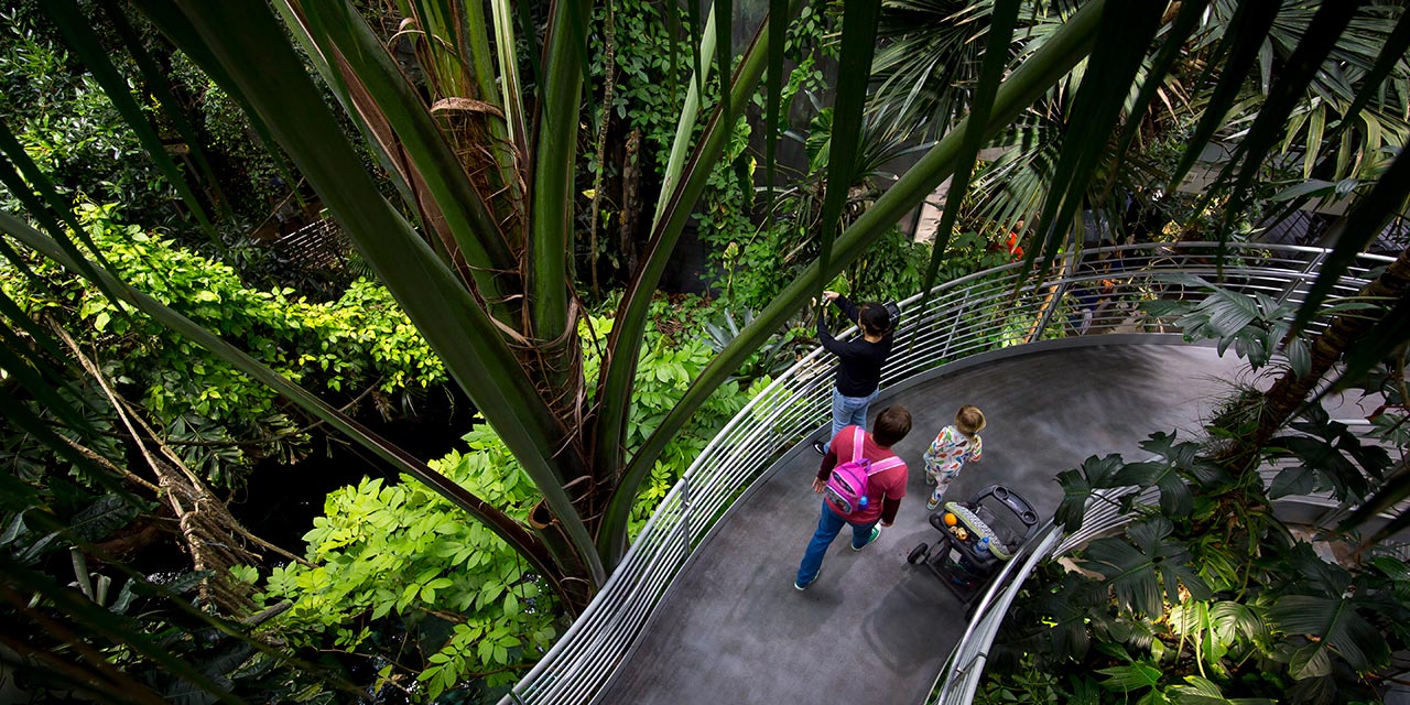 California Academy of Sciences