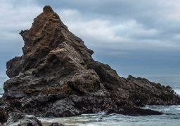 Jug Handle State Natural Reserve