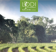 Visit Lodi