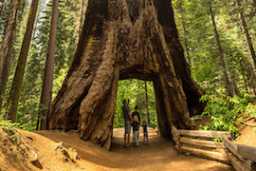 Tuolumne County Visitors Bureau