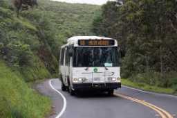 Muir Woods shuttle