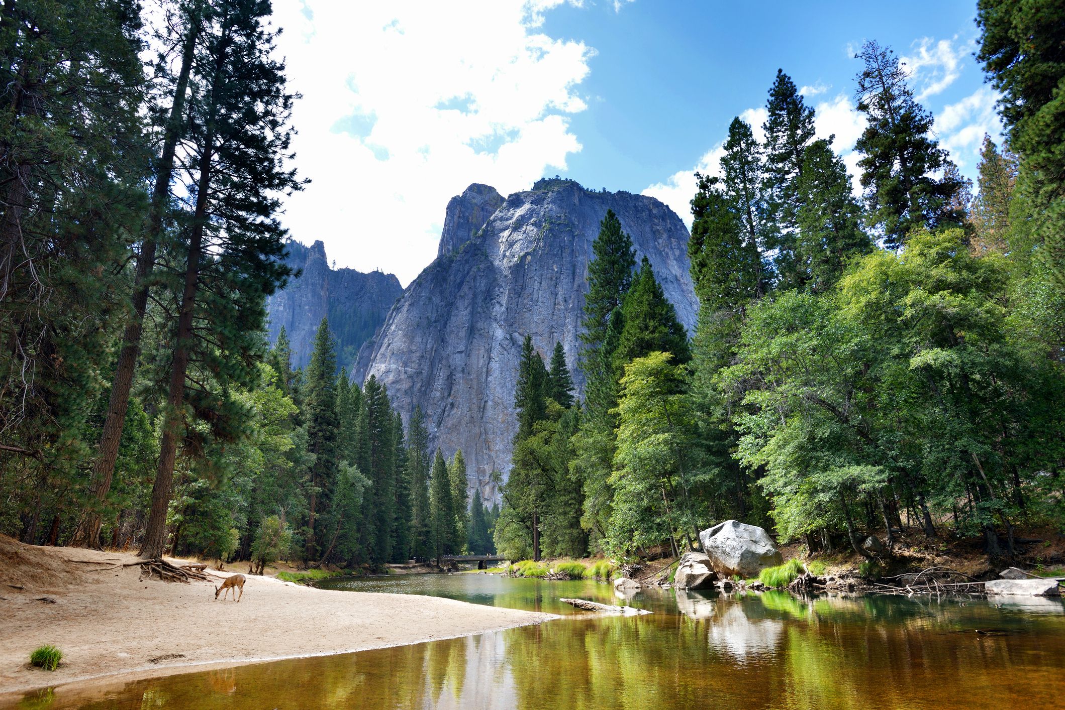 Yosemite Valley Lodge