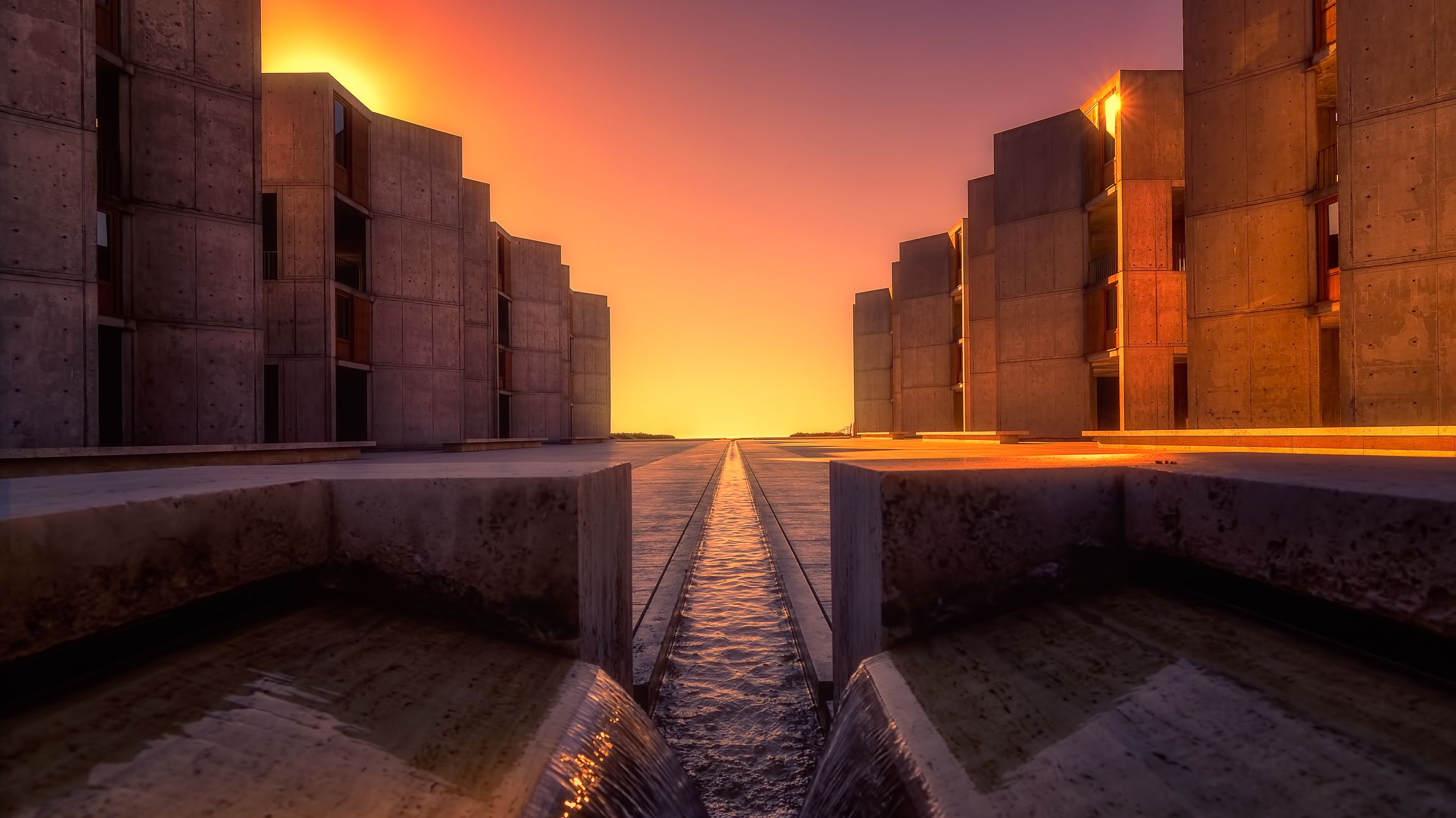 The Salk Institute