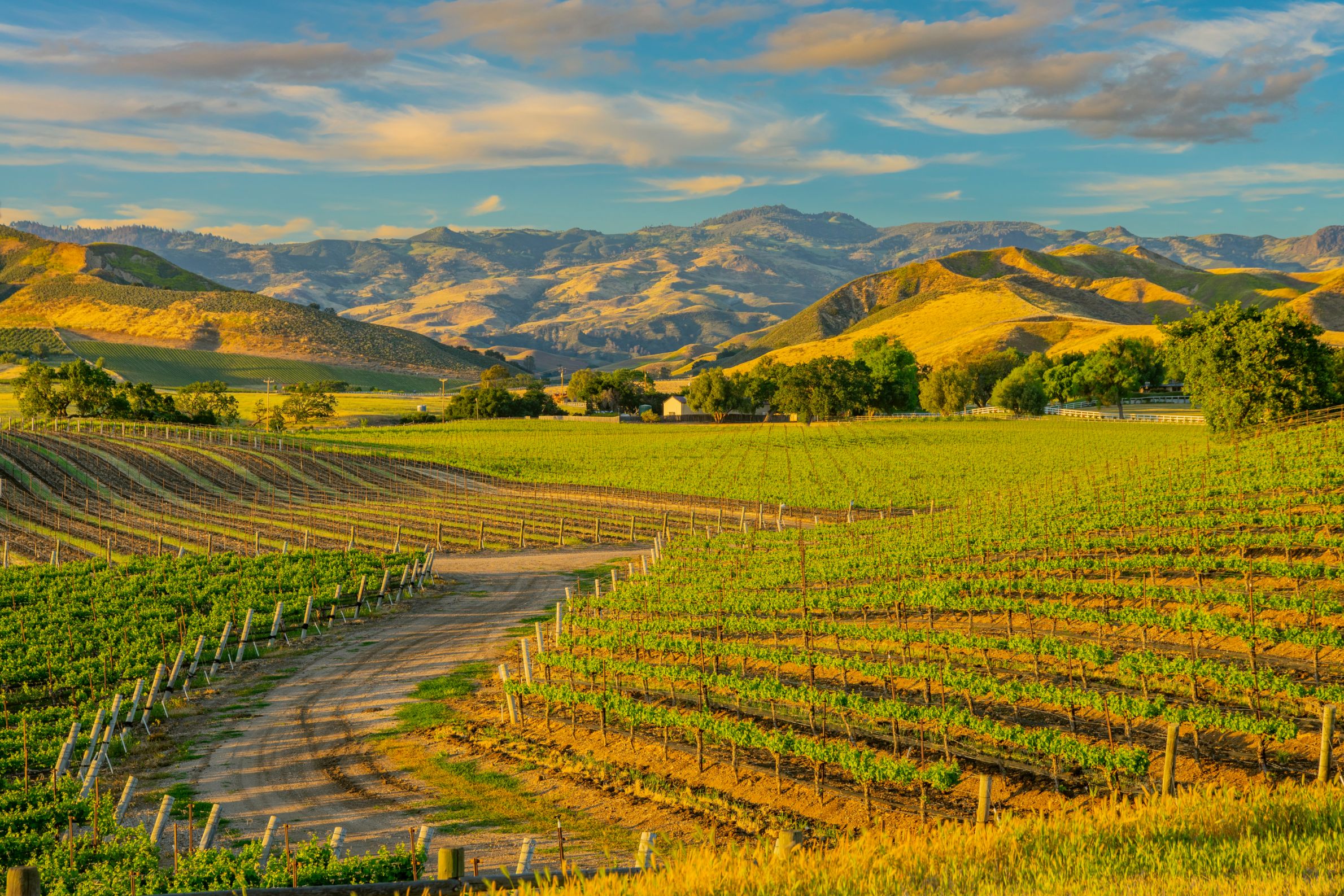 Weintour an der Central Coast