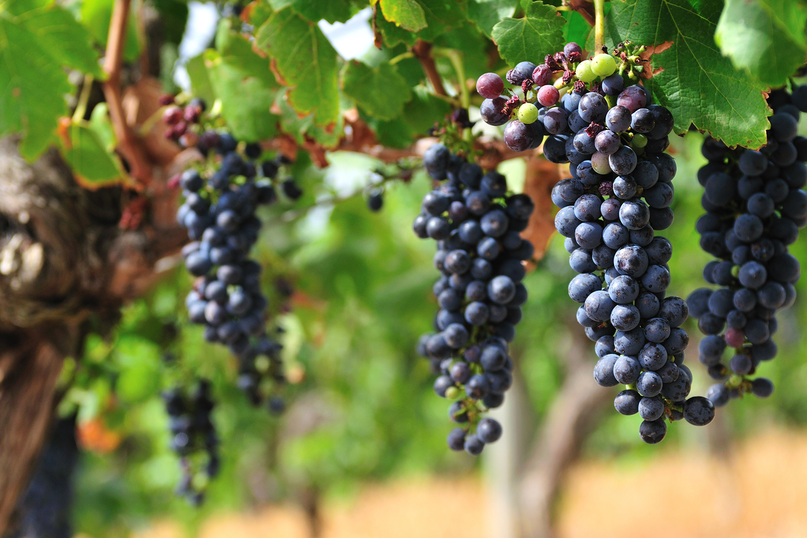 Entienou/Getty Images