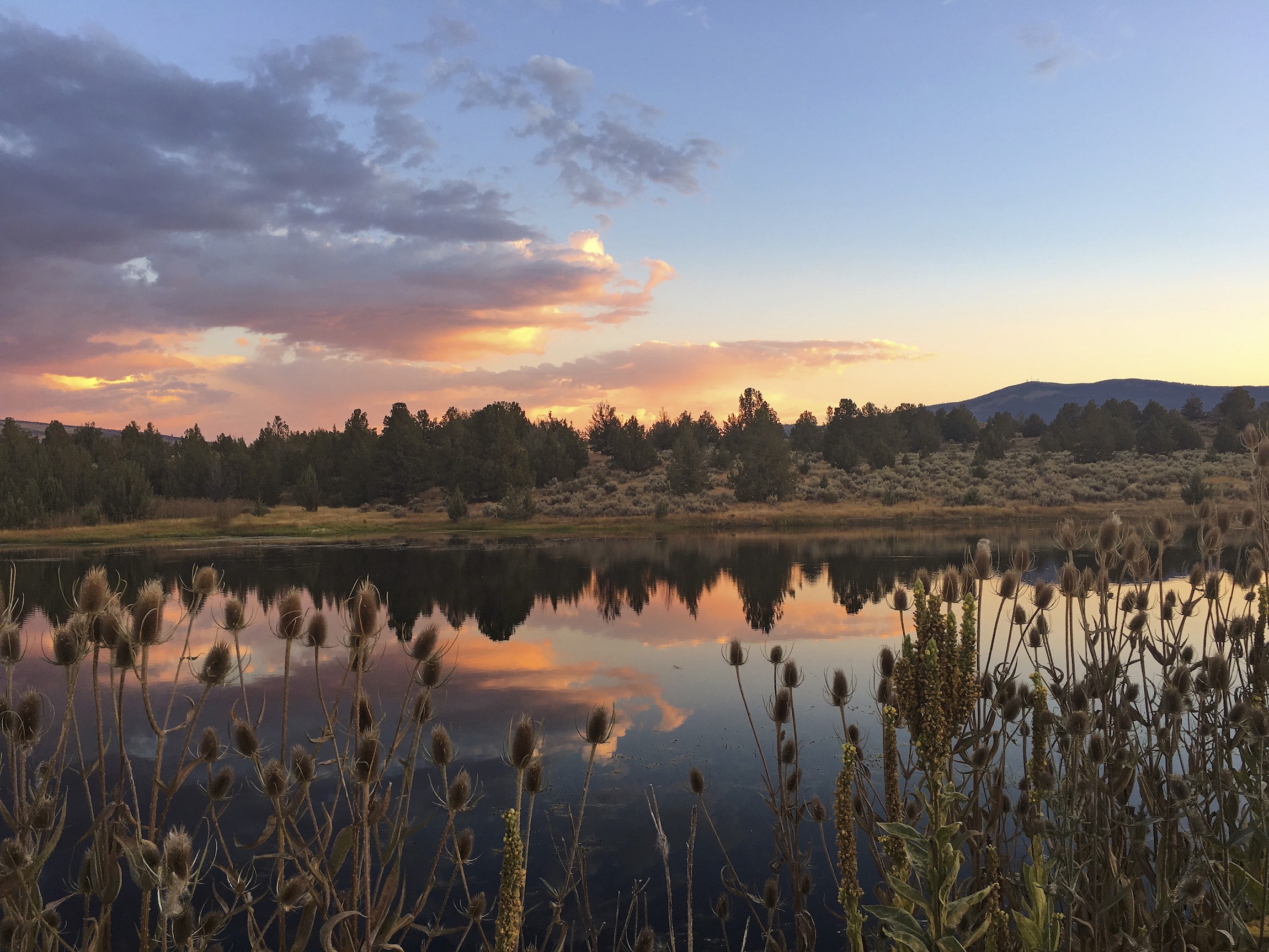 Auf Entdeckungstour im Modoc County