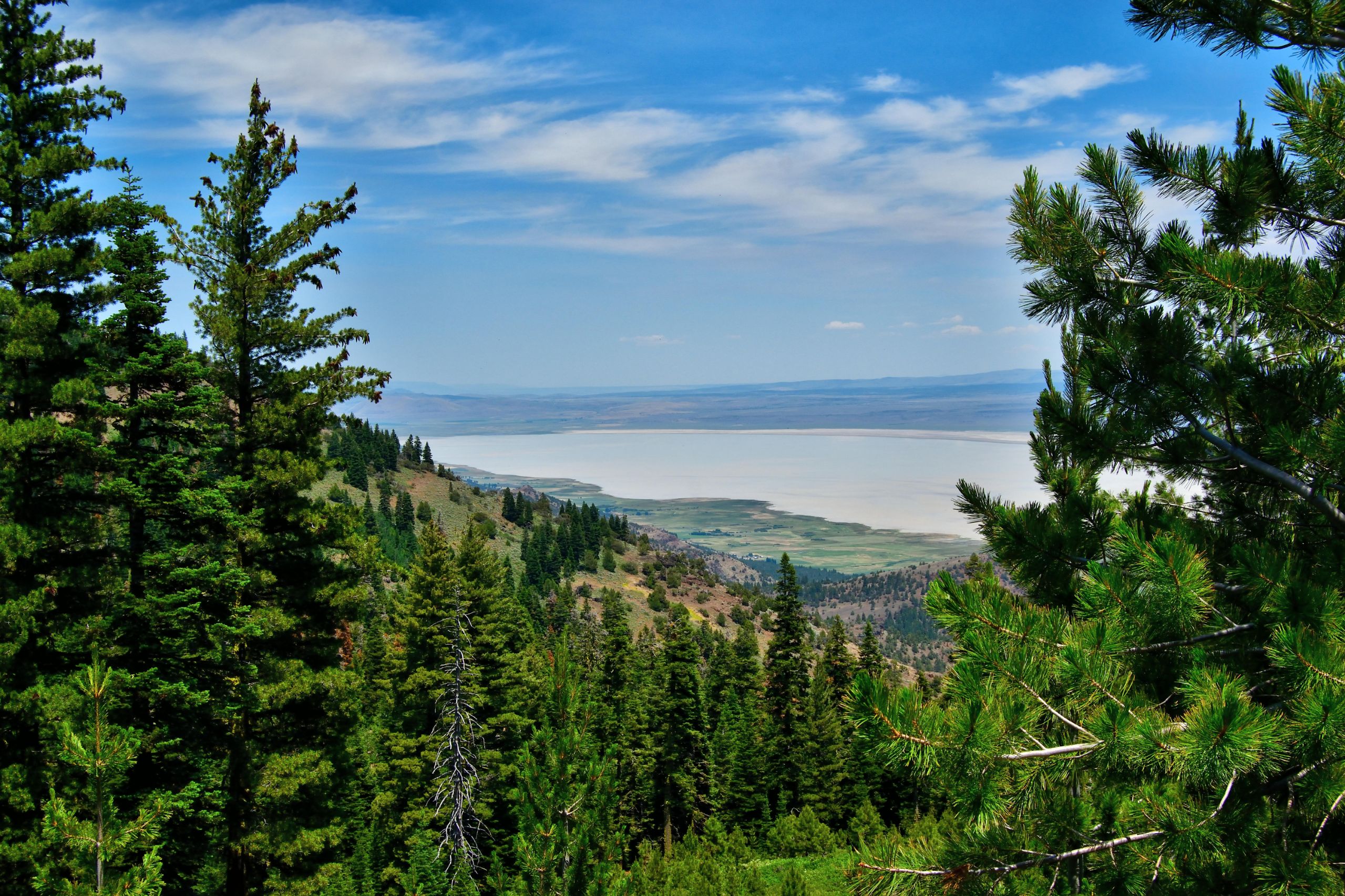 Modoc National Forest