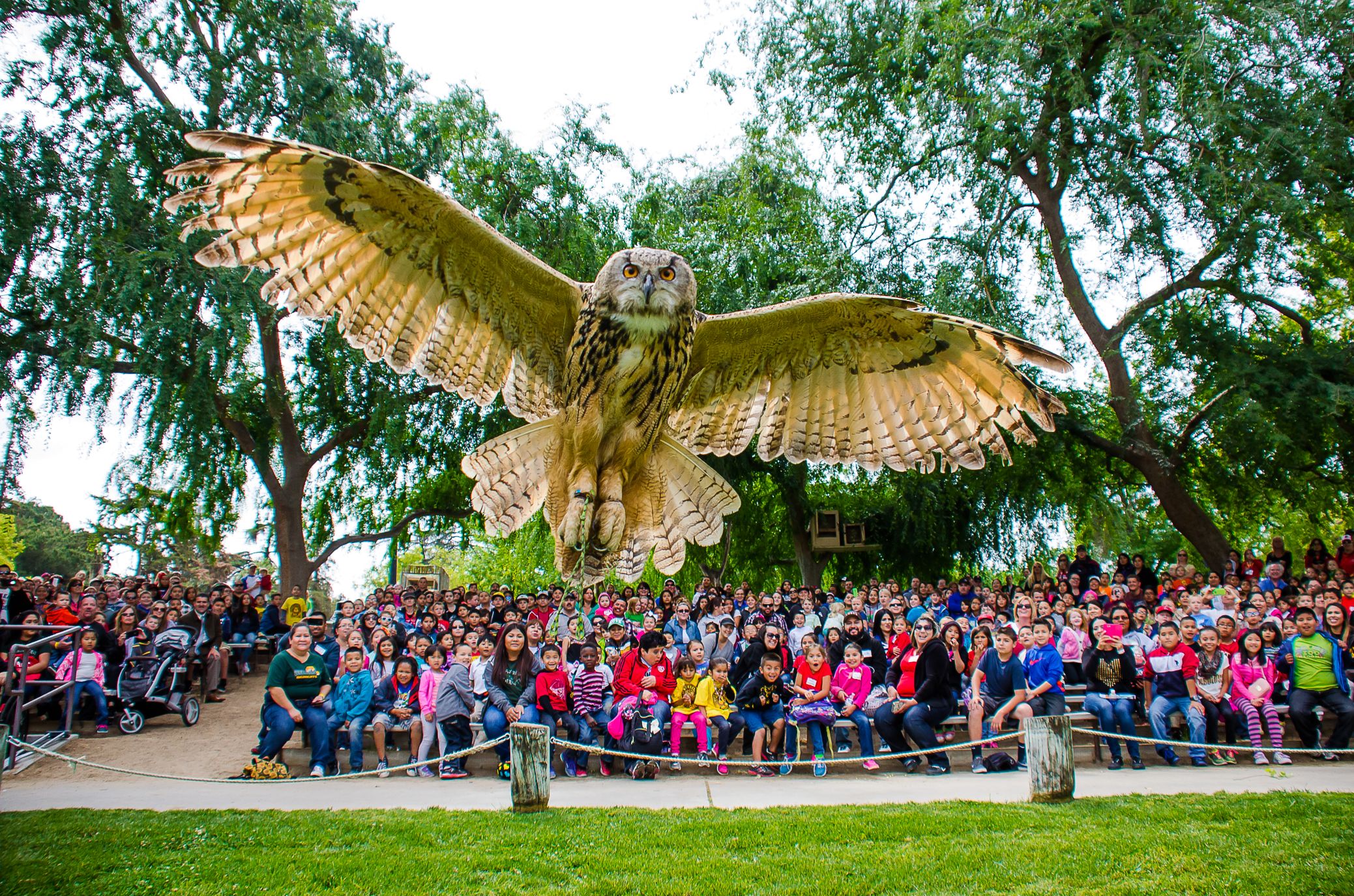 Fresno Chaffee Zoo