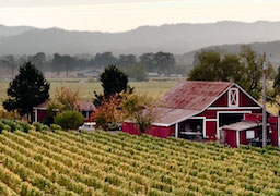 Healdsburg Chamber & Visitors Bureau 