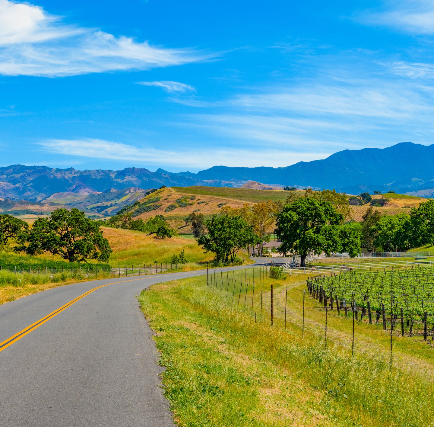 Vallée de Santa Ynez - Pays du Vin