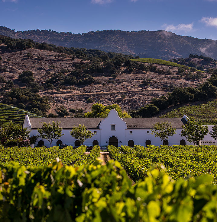 Vignoble de Stags Leap