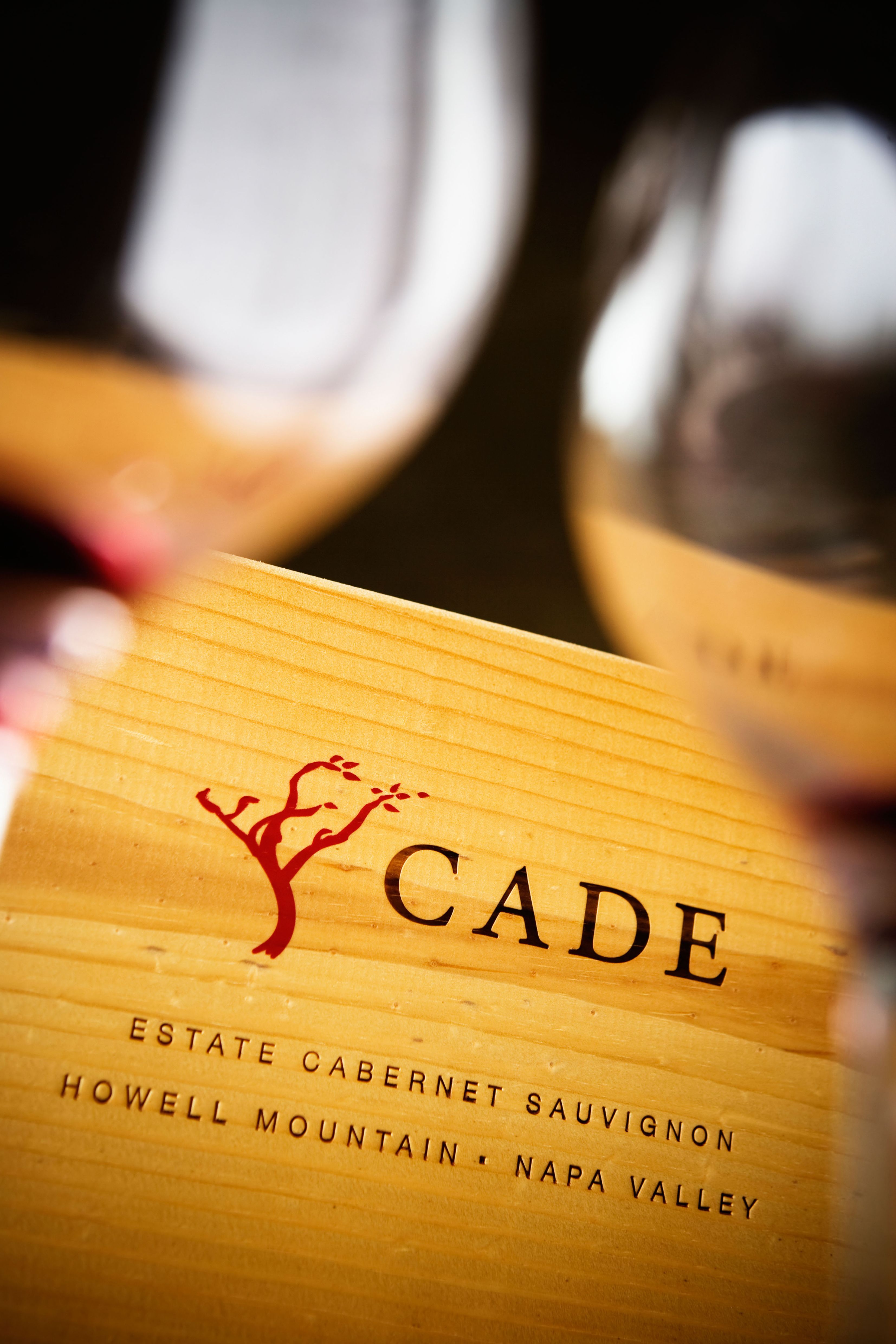 Vignoble de Cade