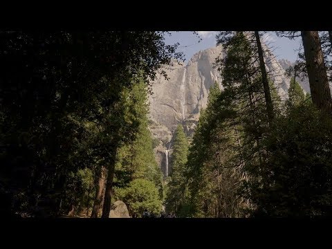 Yosemite National Park