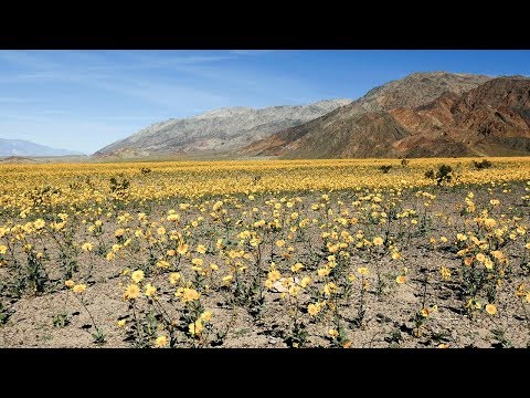 Death Valley National Park