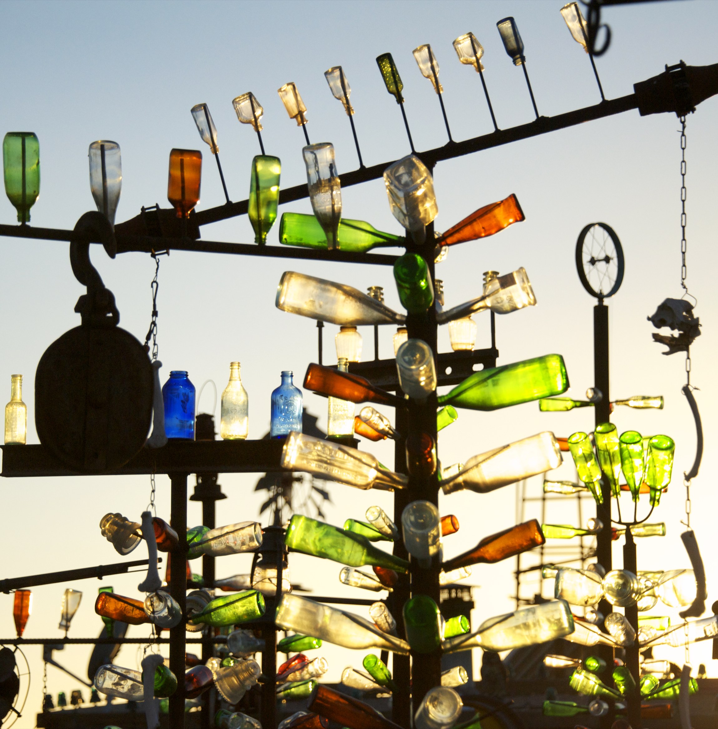 Bottle Tree Ranch