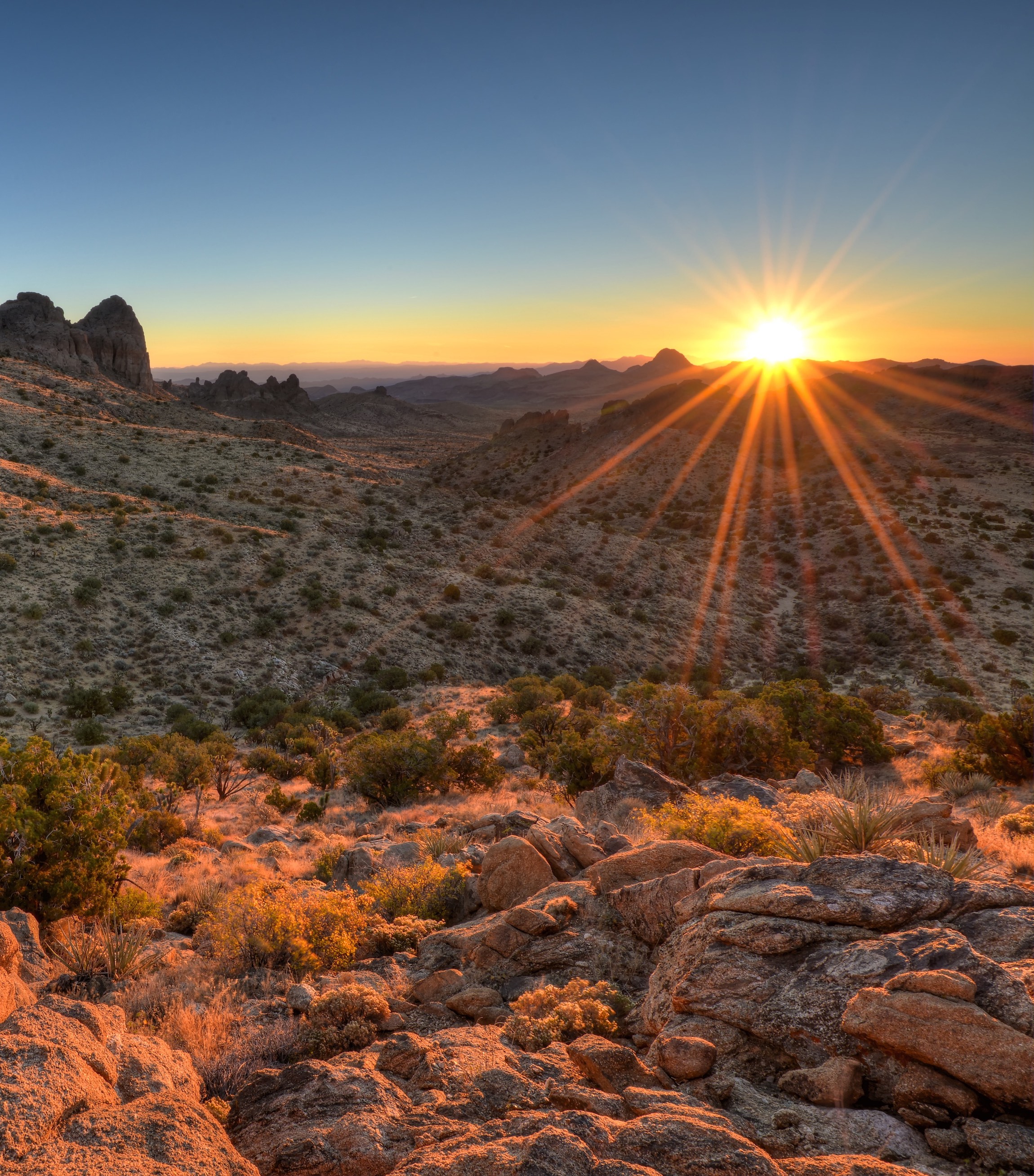 Mojave National Preserve