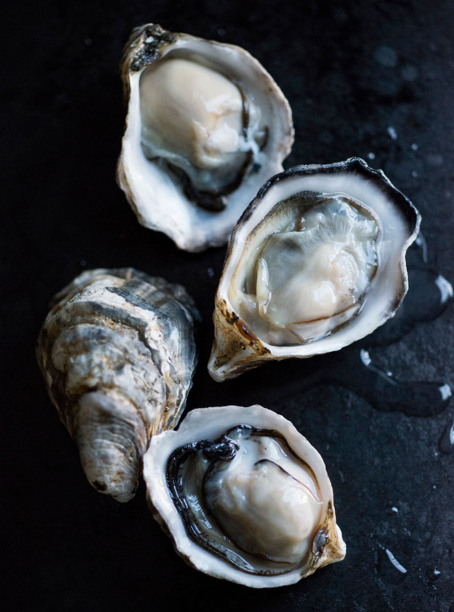 Hog Island Oyster Company