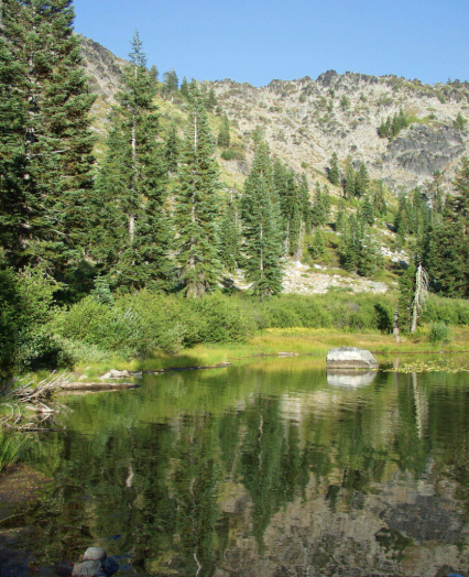 Happy Camp - Wyman Gulch