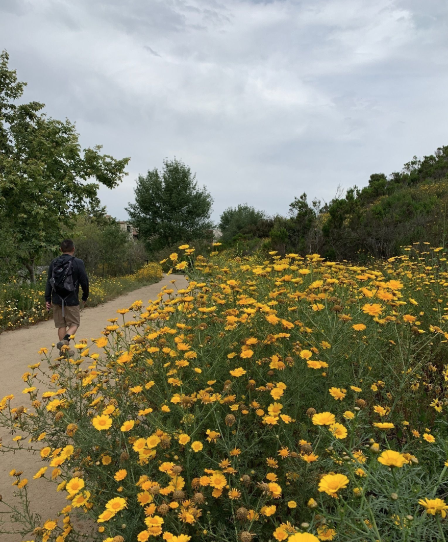 Bluff Creek Historic Trails