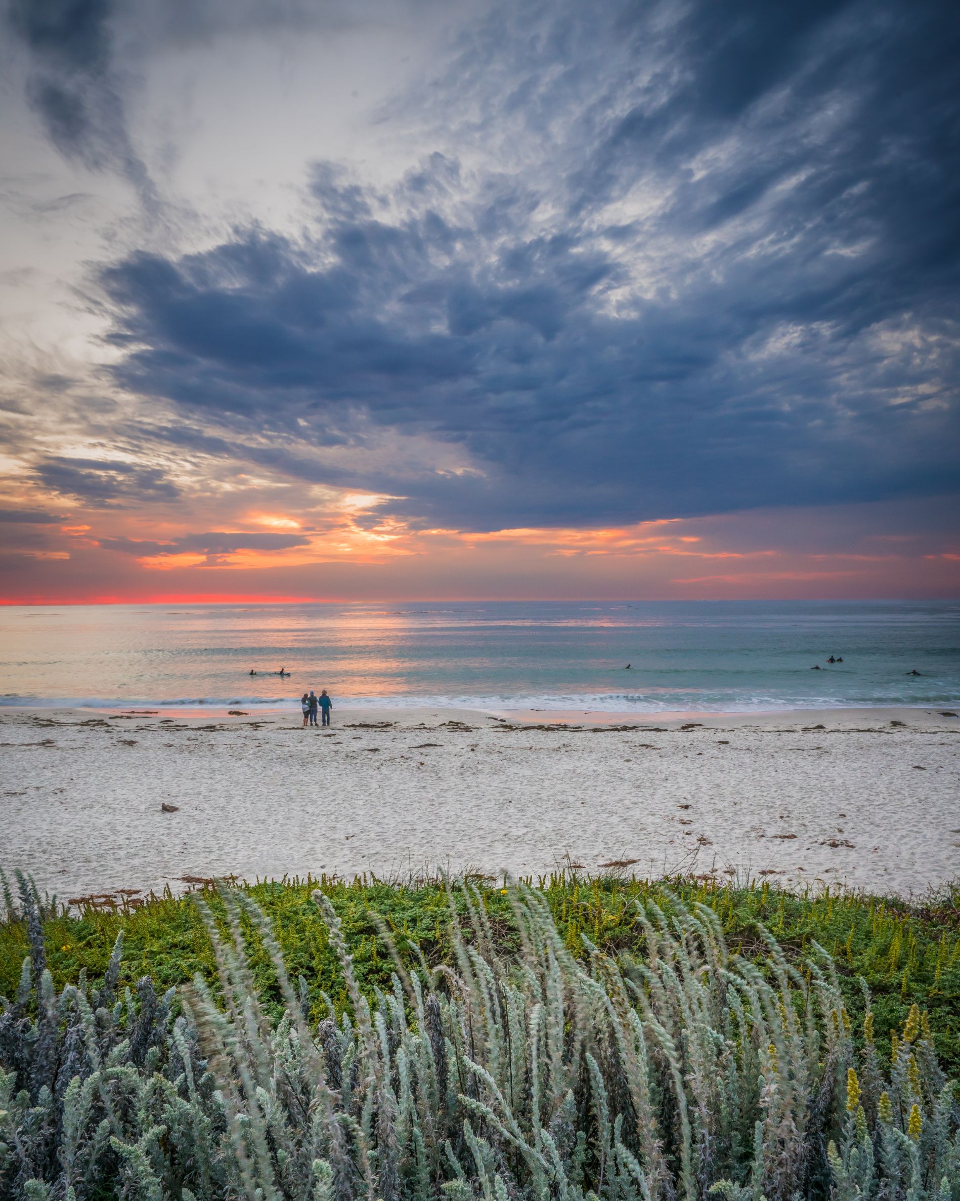 Asilomar State Beach, Pacific Grove