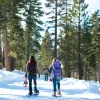 Holiday Travels in California