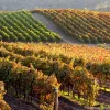 Exploring San Luis Obispo County