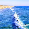 A Local’s Guide to Orange County