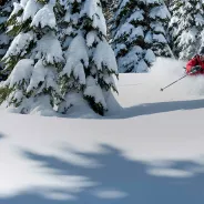 Skiing and Snowboarding in California