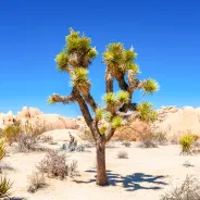 California's Epic Natural Wonders