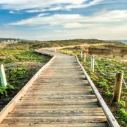 Summer Travel in California