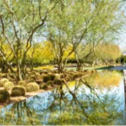 Visit Greater Palm Springs – Rancho Mirage