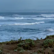 Moss Landing State Beach