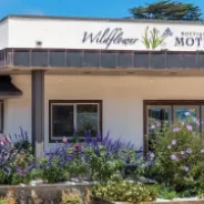 Wildflower Boutique Motel