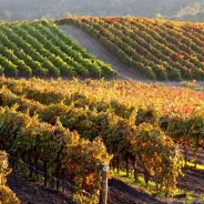 Exploring San Luis Obispo County