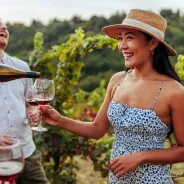Wine Tasting in California