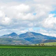 Salinas Valley Tourism