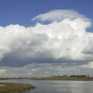 Reserva Ecológica Estatal de Bolsa Chica