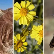 Informazioni turistiche su Borrego Springs