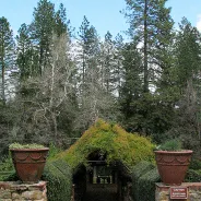 Empire Mine State Historic Park