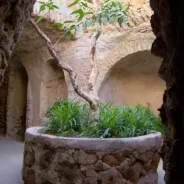 Forestiere Underground Gardens