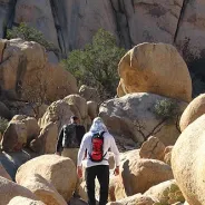 Attività a Joshua Tree