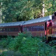 Skunk Train