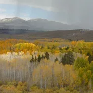 MONO LAKE COMMITTEE