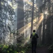 레드우드 국/주립공원 (Redwood National and State Parks) 추가 정보