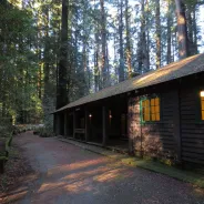 Richardson Grove State Park